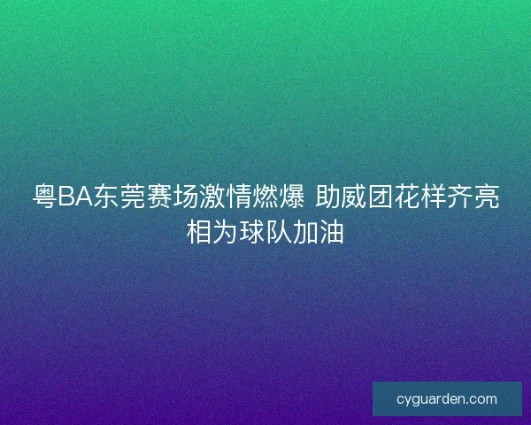 粤BA东莞赛场激情燃爆 助威团花样齐亮相为球队加油
